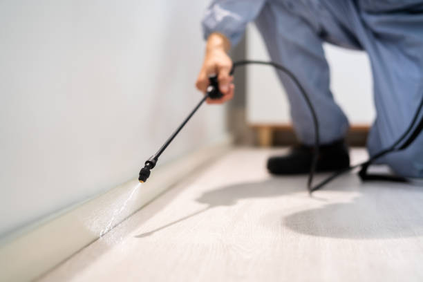 Licensed Rodent Control service in Casey, IL - Nex Pest Control