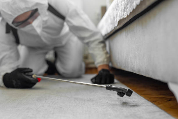 Professional Rodent Control technician working in Casey, IL