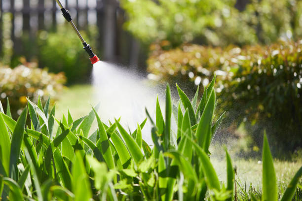 24/7 Emergency Rodent Control experts in Casey, IL