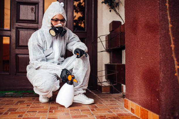 Reliable Rodent Control contractor in Casey, IL by Nex Pest Control