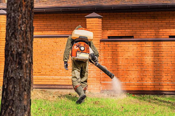 Trusted Bed Bug Control service in Casey, IL - Nex Pest Control